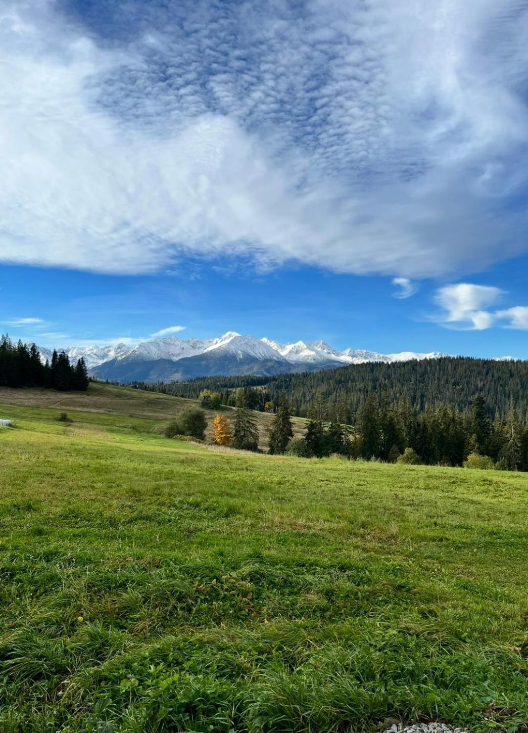 Tatra Widok * Bukowina Tatrzańska